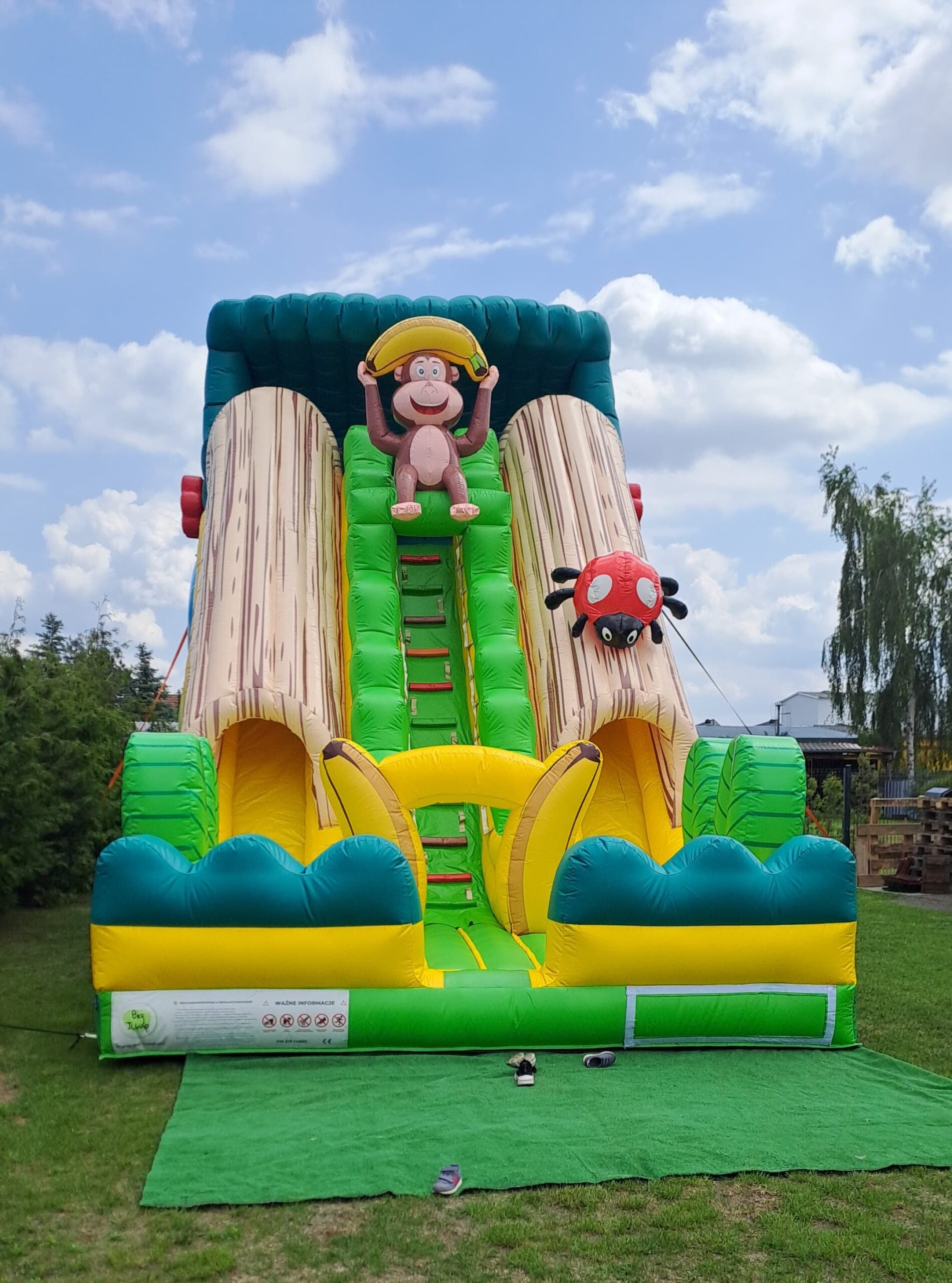 wesoła małpka