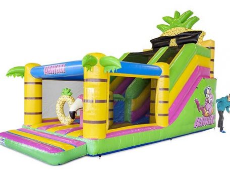 A-Budget Multi Slide Hawaii-2_NEW